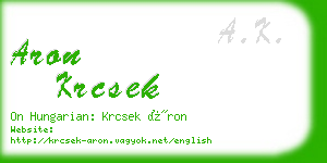 aron krcsek business card